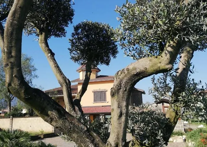 Bed & Breakfast Ponte Vestilli 4*